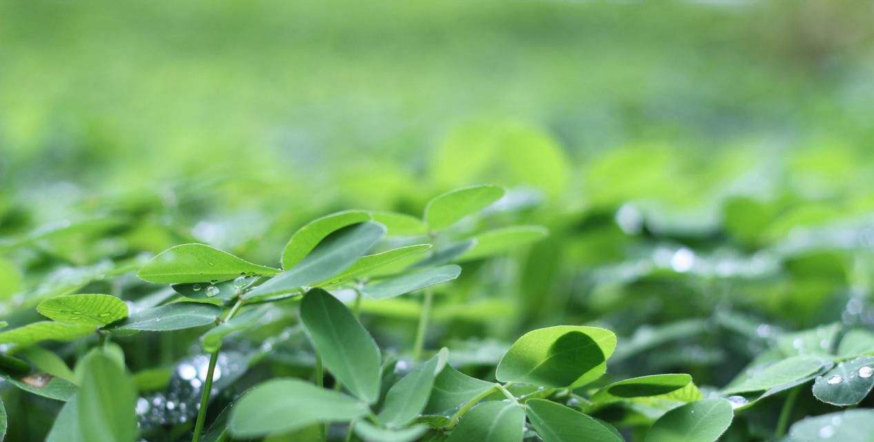 護膚保養的重要性 還有很多人不是很清楚 美容護膚獨生美官網